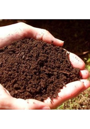 Kaliteli Saksı Yükseklik 16,5 X14 Kalteli Saksı 2 Adet Saksı + 1 Litre 1 Kalite Çiçek Toprağı