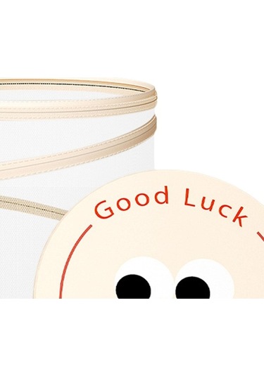 Pazly Suntek Çamaşır Sepeti Düzenleyici Fileli Kapaklı Yurt Evi Organizer Diğer