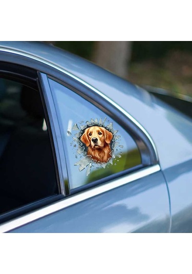 Fulcar Golden Araç Stickerı - 9093783564235do