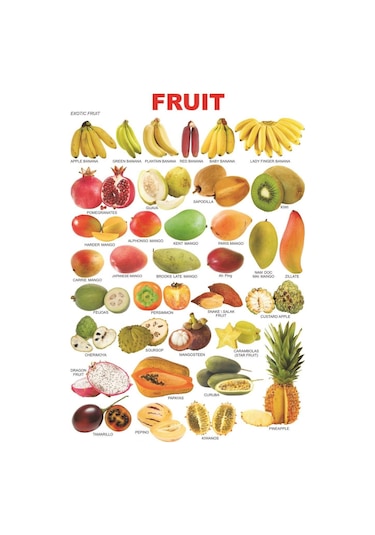 Armix Iz Element Kompleksi Combi ( Kombi )10 KG