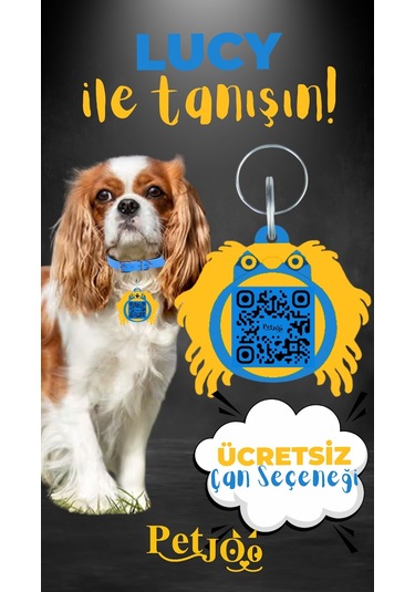 Petjoo 11.Lucy Sarı-Mavi Qr'lı Köpek Künyesi