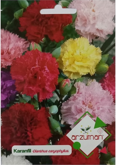 Karanfil Çiçeği Tohumu