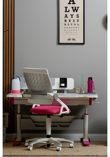 Creo Mobili Yükseklik Ve Sırt Ayarlı Sirius Çalışma Sandalyesi Ofis, Bilgisayar Koltuğu Beyaz/fuşya Gri