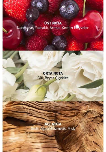 Alix Avien Eclat Kadın Parfüm EDP 45 ML