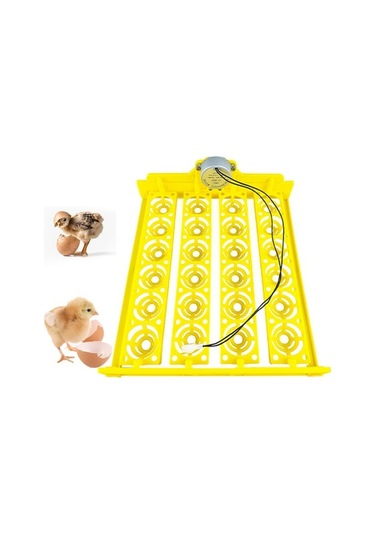 Pazly Yumurta Tepsisi Tavuk Suntek İnkübatörü Döndürme Aleti, Hv