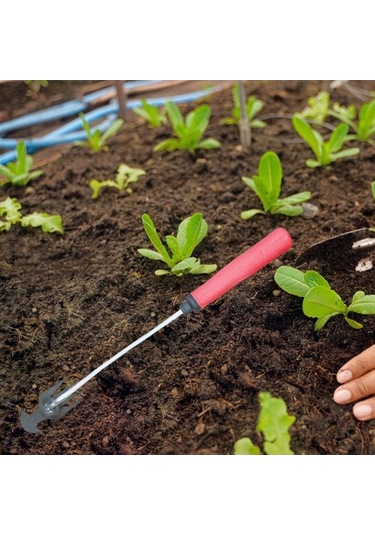 Pazly Yetiştirme Suntek Kauçuk-saplı Bahçe Dikim Ve Ayıklama Aracı Lf