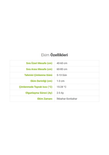 Bykurt Sunagri Cherry Domates Tohumu - Parlak Kırmızı Lezzetli Yüksek Verimli Askıya Uygun Cherry Domates Tohumu