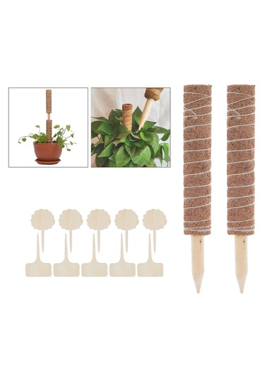 Suntek 30/40/50cm Hindistan Cevizi Totem Direği Uzatılabilir 50cm