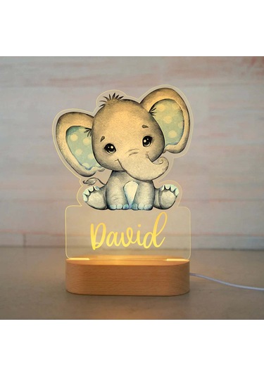 Kişiye Özel Çocuklar İçin Hayvan Gece Lambası İsimli Akrilik Lamba 1 Çok Renkli