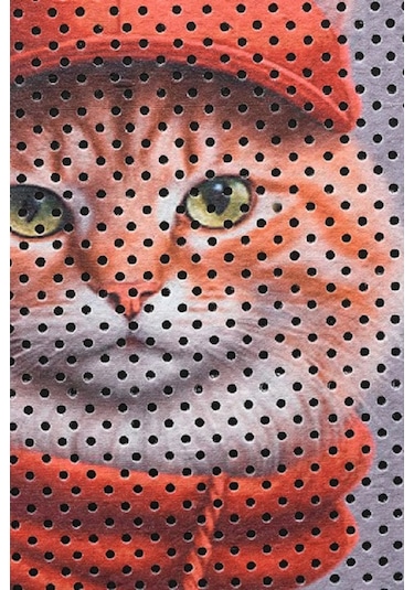 Kedi Kumu Paspası Kedi Tuvaleti Paspası 40 x 60 CM