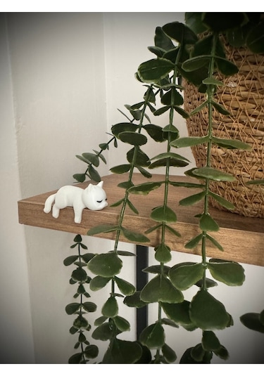 Sevimli Uyuyan Kedi Araba Dikiz Aynası Süsü - Araç İçi Aksesuar Süsü - Mutfak Süsü Torpido Süsü Kedi