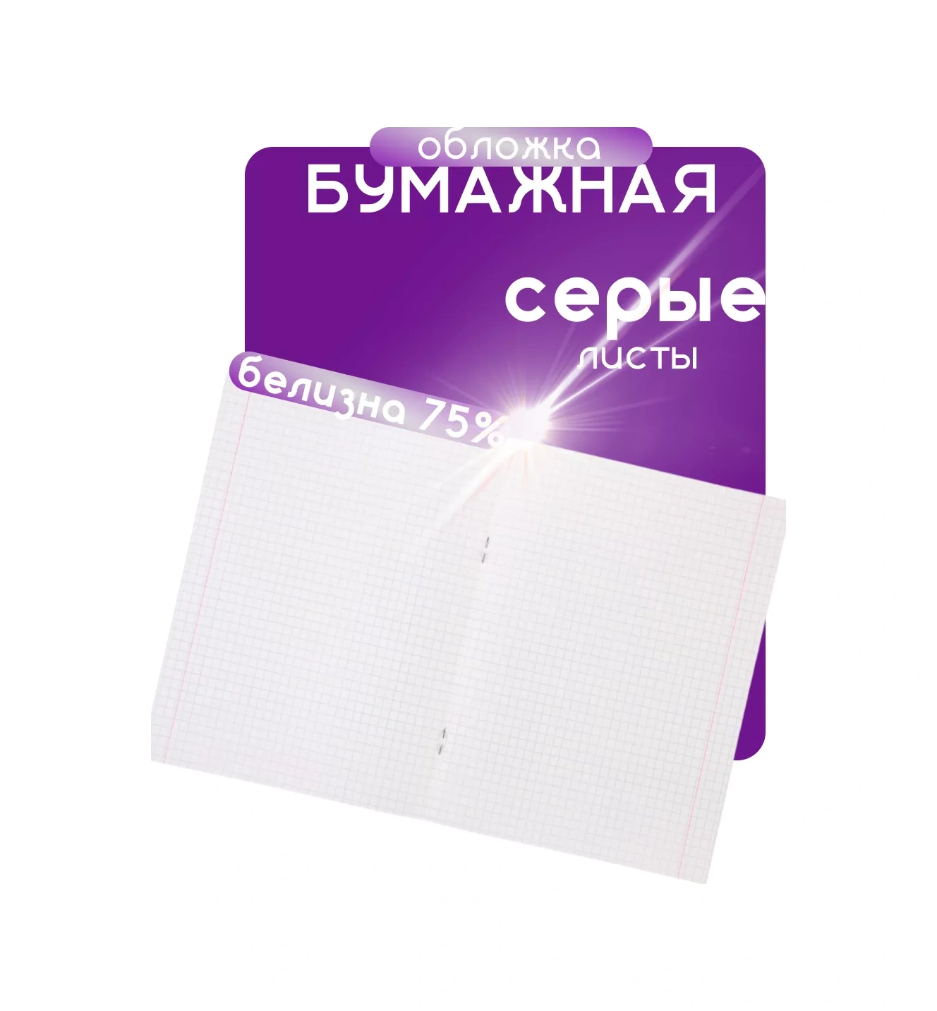 Calligrata 12 Yapraklı Kareli Genel Defter Seti 74020567