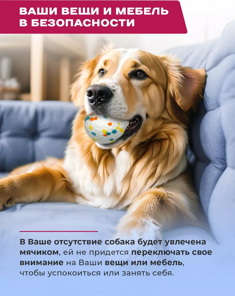 Purrfect Place Köpekler İçin Oyuncak, Süper Dayanımlı Top 201069641