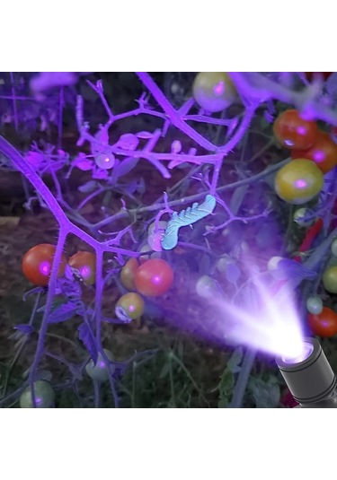 Willowhaven 4 Adet Altın Led Uv Siyah Işık, Floresan Ve Dekorasyon Aydınlatma Altın Rengi