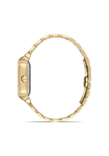 Sd166g-02sg Hislon Kol Saati 40 Mm / Gold Gri