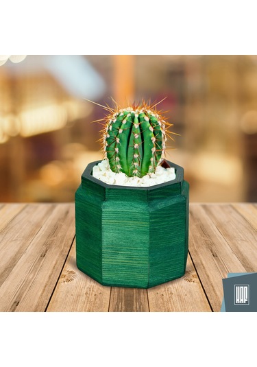 Kaf Ahşap Dekoratif Mini Saksı / Sekizgen / Zümrüt Yeşil