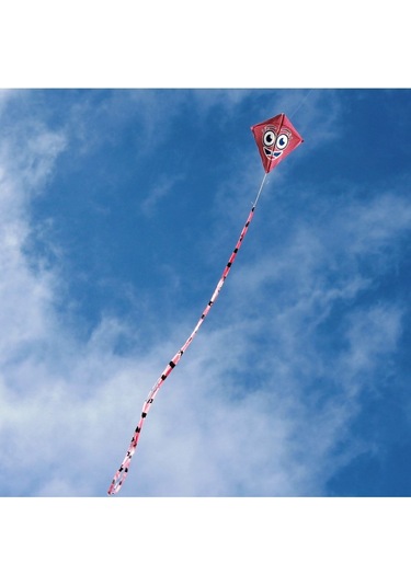 Naylon Elmas Uçurtma - Gülenyüz