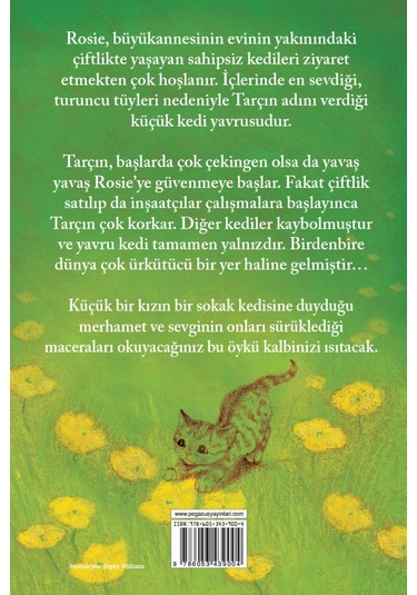 Sokak Kedisi Tarçın