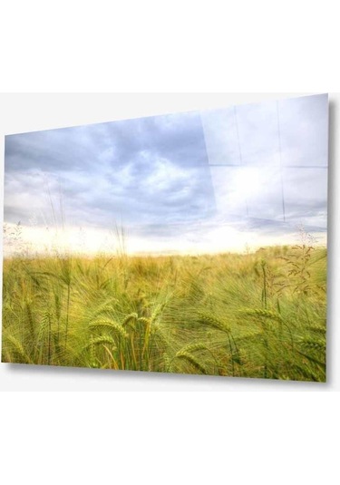 Doğa Cam Tablo 4mm Dayanıklı Temperli Cam670