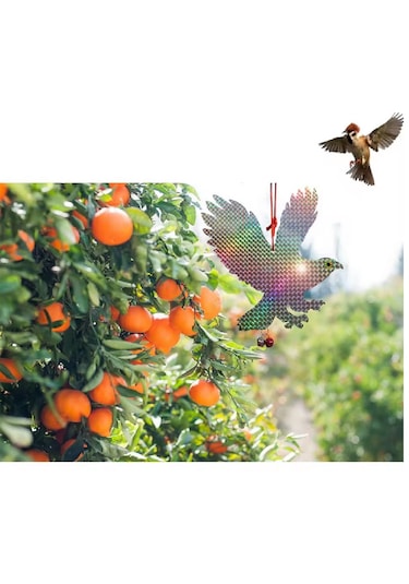 Kuş Kovucu Hologramlı Şahin