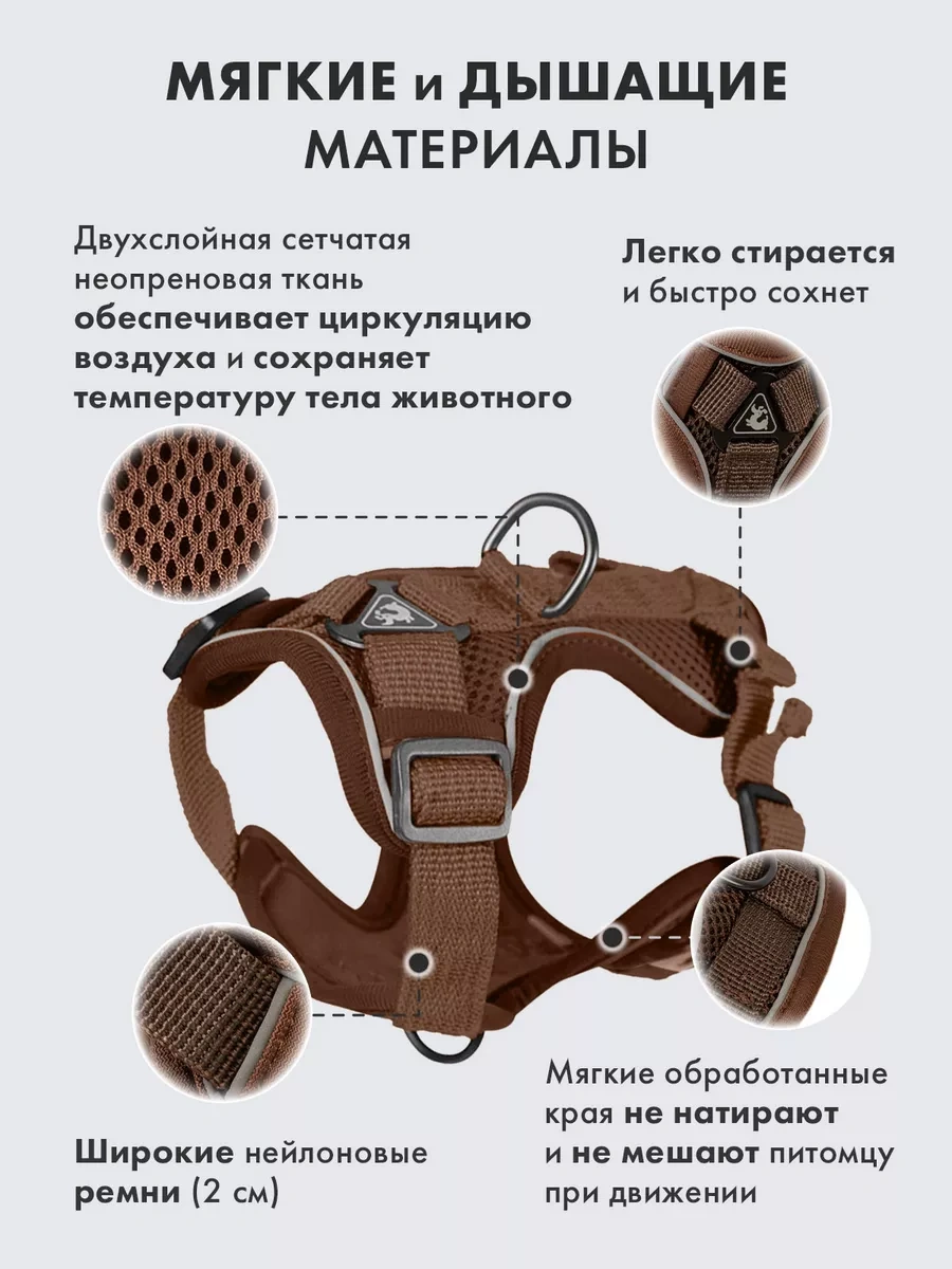 Purrfect Place Köpekler Ve Kedi İçin Tasma Şeritli Tasma 253725673