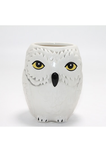 Harry Potter Hedwig Tasarım Porselen Kupa Bardak Çok Renkli