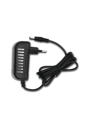 Wellhise 12 Volt 2 Amper Adaptör