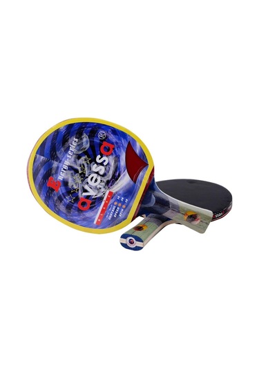 Avessa 92510 Antrenman Masa Tenisi Raketi