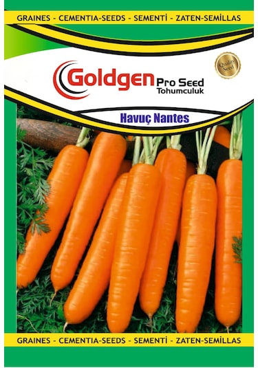Goldgen Havuç Tohumu 1 Paket
