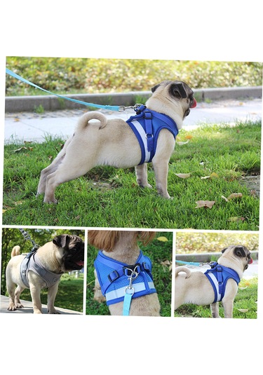 Geeroyoo Yumuşak Mesh Evcil Hayat Tasması - Ayarlanabilir, Reflektif, Köpek/kedi/tavşan İçin Gri, S Gri