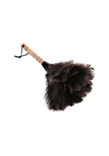 Springsun Doğal Devekuşu Tüyü Toz Alıcı, Ahşap Saplı Ev Temizlik Fırçası