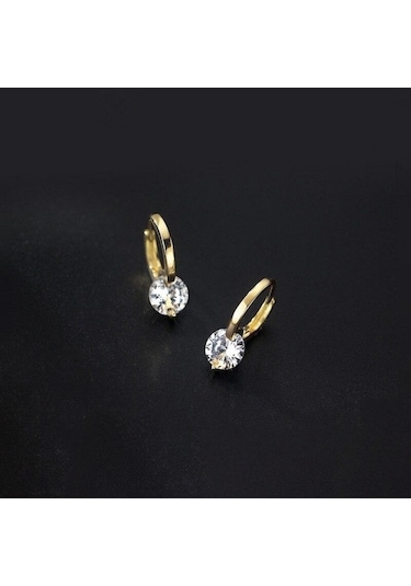 Novahub Altın Yeni Klasik Paslanmaz Çelik Parlak Zirkon Halka Küpe Kadın Moda Kore Takı Mizaç Kızın Günlük Giyim Küpe Altın Altın