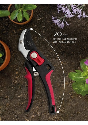 Frut Club Öküzgözü Zımba Makası 314707182