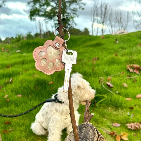 Gateesat Kahverengi Tüy Toplayıcı Anahtarlık - Pati Desenli, Anahtar Ve Telefon Uyumlu, Evcil Hayvan Anısı Hediyesi