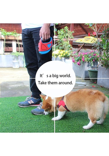 Geeroyoo Led Aydınlatmalı Uzatılabilir Köpek Tasması, Mavi, Büyük Boy, 16ft Mavi