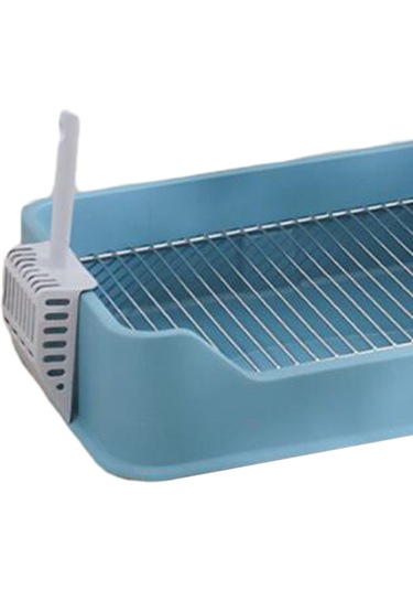 Homyl Chinchillas Yavru Pet Malzemeleri Için Kaşık Mavi