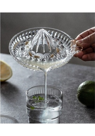 Cam Limon Sıkacağı Diğer