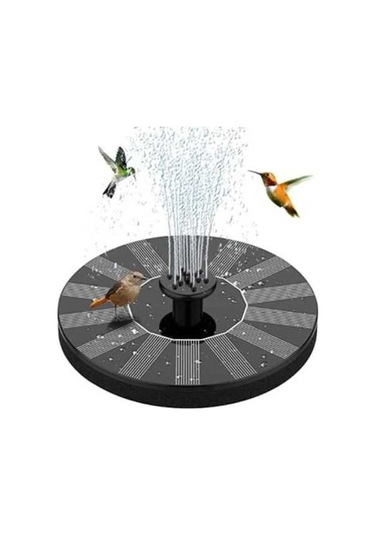 Pazly Güneş Enerjili Çeşme Pompası: Kurulumu Kolay, Bataryasız Tam Güneş Enerjili Pompa