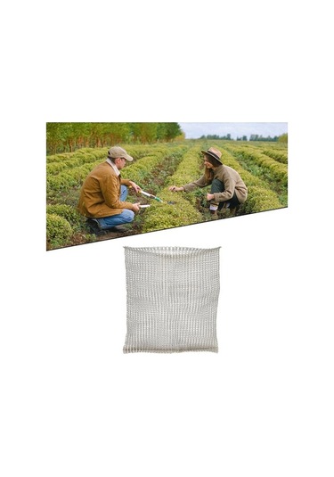 Pazly Suntek Sepetleri Paslanmaz Koruma Kökler Çelik Bitki 18x16-inç Nr