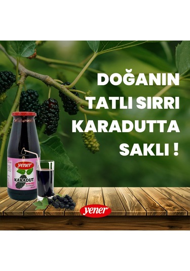 Karadut Suyu 700 Ml