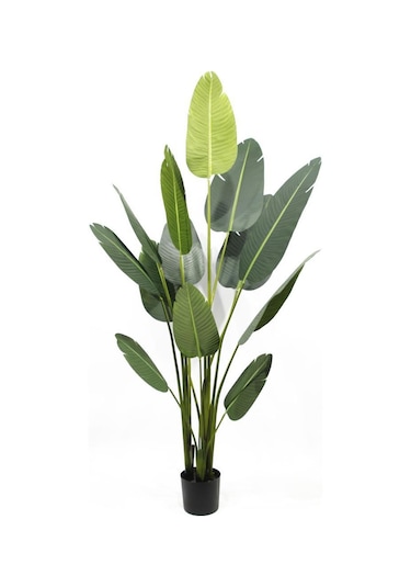 Yapay Ağaç Muz Ağacı Yapay Starliçe 160cm 13 Yaprak