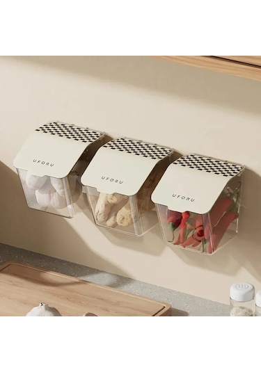 Ambition 4 Adet Zencefil Ve Sarımsak Taze Tutma Konteyner