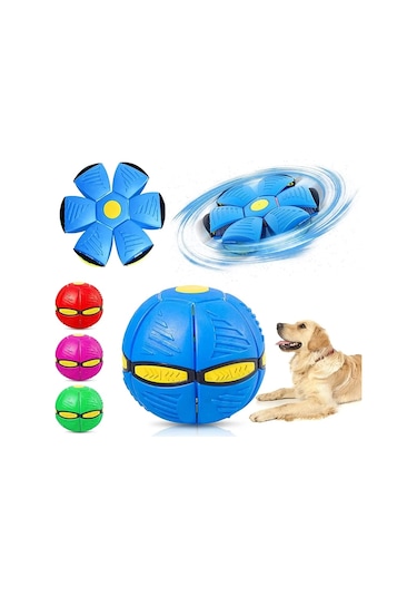 River World Evcil Hayvan Topu Frizbi Işıklı Zıplayan