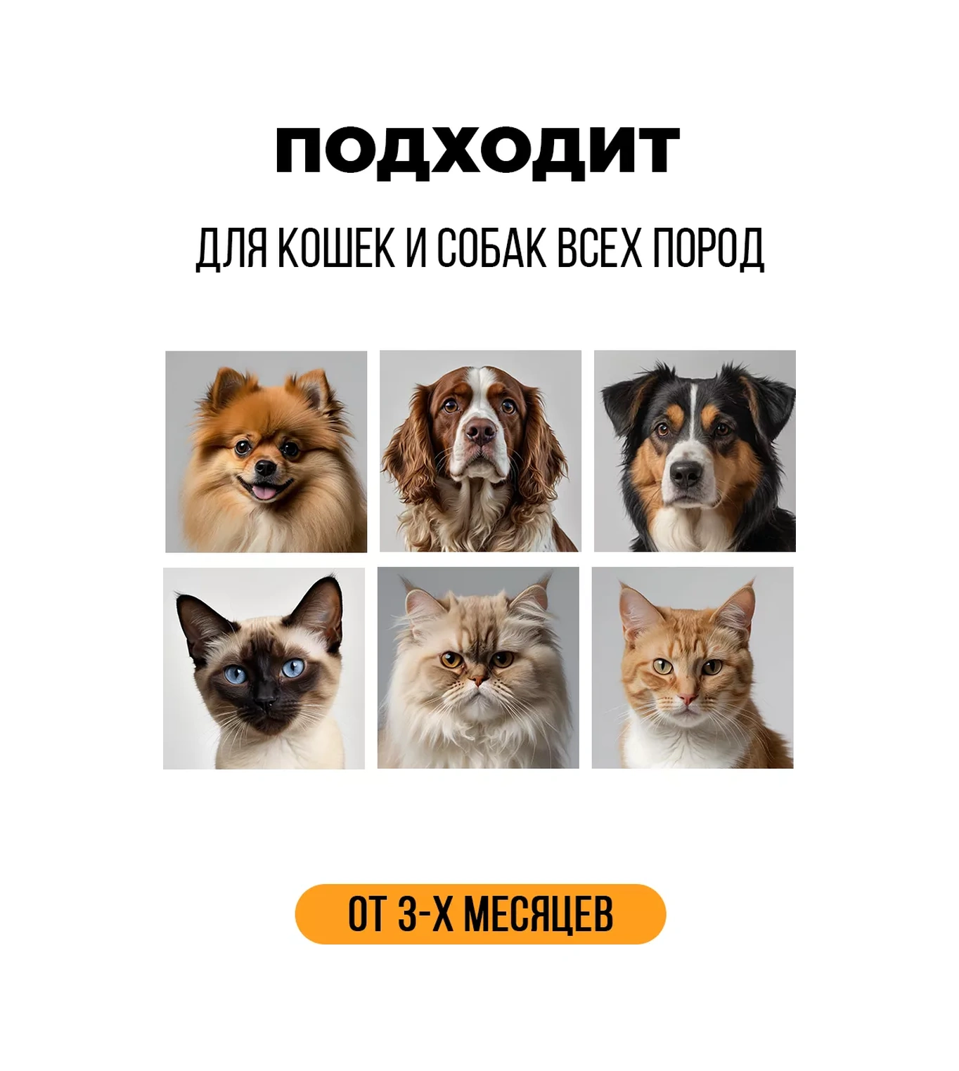 Spets Köpekler İçin Koruyucu, İyileştirici Pati Mumu 100 Ml 217883790