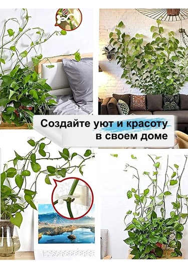 Greduha Bitkiler İçin Duvar Tipi Destek Klipsi, 10 Adet 169153203