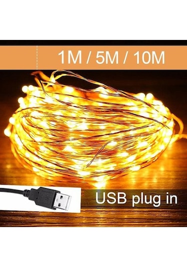Çok Renkli 5/10 M Su Geçirmez Usb Led Bakır Tel Peri Dize Işıklar Çelenk Dekorasyon 5m 50leds Çok Renkli