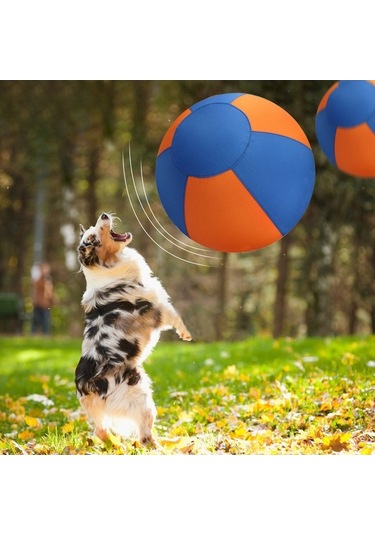 Dm Evcil Hayvan Köpek Oyuncak Çiğnenebilir Şişme Eğitim Topu - Eğlenceli Ve Dayanıklı