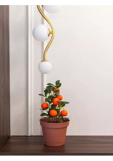 Grhome Otomatik Sulama Ve Altlık İle Saksı Plastik Çiçek Saksısı Seti 245365373