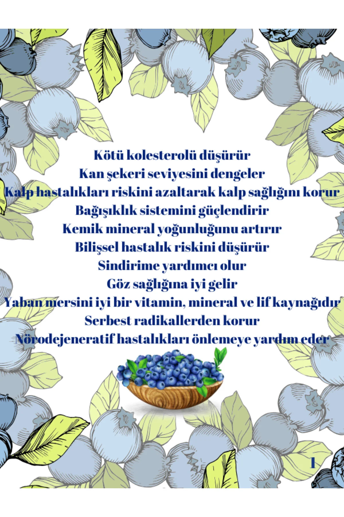 Taneli Yaban Mersini Özü 1400gr