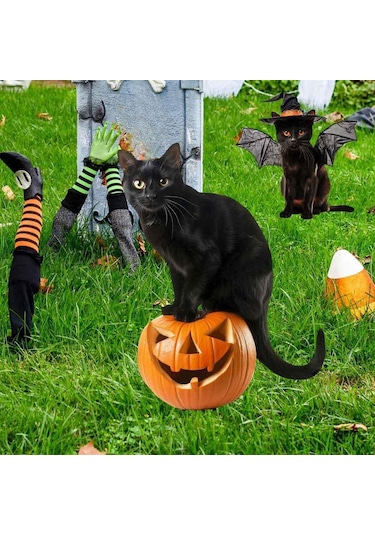 Suntek Heykeli Bahçe Kazığı 18,9x28-cm-kara-kedi-balkabağı